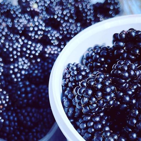 Ærøskøbing Blackberryhouse المظهر الخارجي الصورة