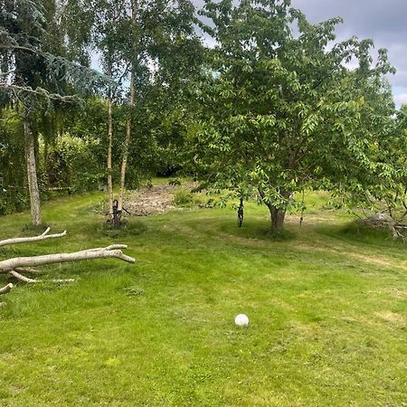 Ærøskøbing Blackberryhouse المظهر الخارجي الصورة