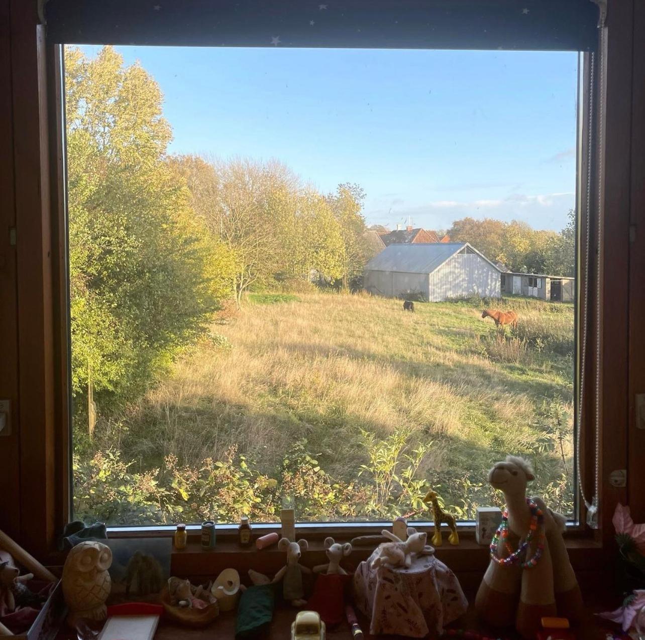 Ærøskøbing Blackberryhouse المظهر الخارجي الصورة