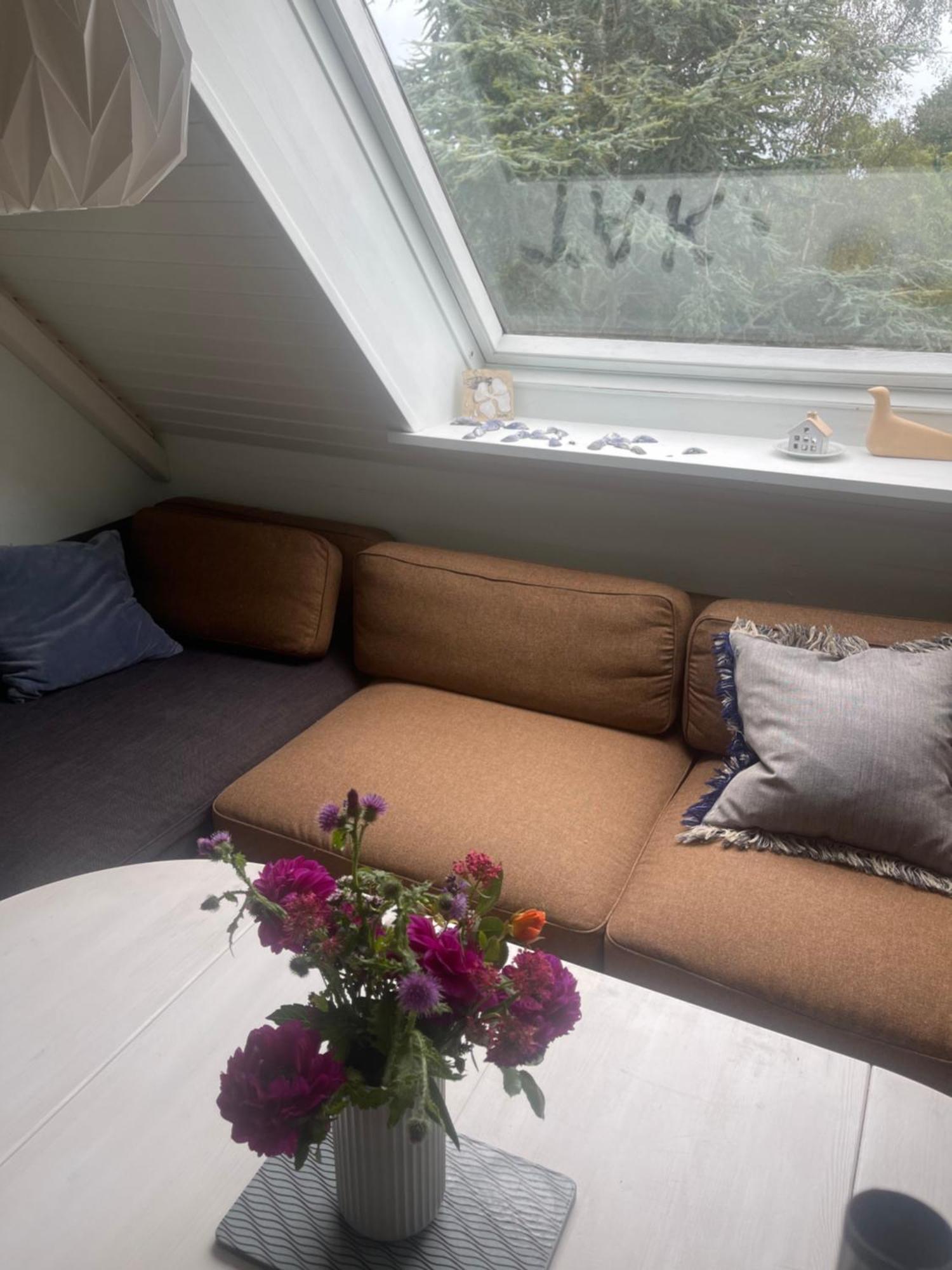 Ærøskøbing Blackberryhouse المظهر الخارجي الصورة