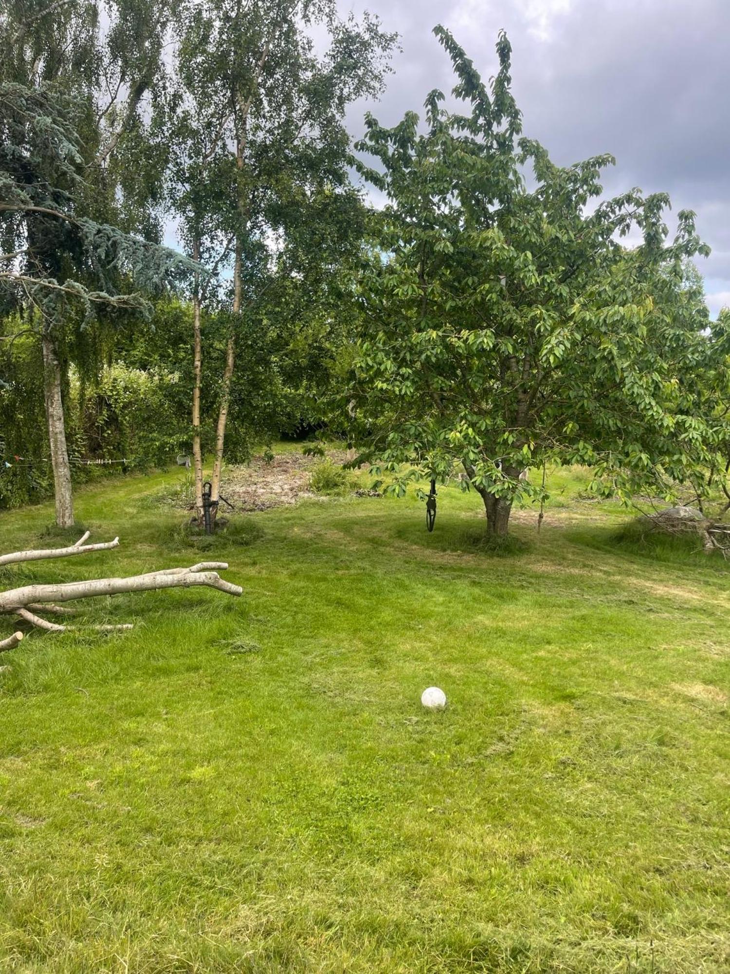 Ærøskøbing Blackberryhouse المظهر الخارجي الصورة